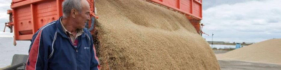 ارز ۴۲۰۰ تومانی ذاتاً فساد زاست و باید حذف شود/ افزایش قیمت‌ها در همه کشورها اتفاق افتاده است