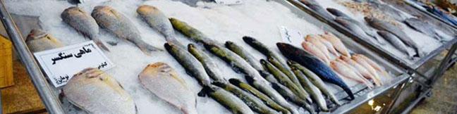 افزایش ۳۰ تا ۳۵ درصدی نرخ نهاده آبزیان/ قیمت ماهی به کیلویی ۱۰۰ هزار تومان رسید