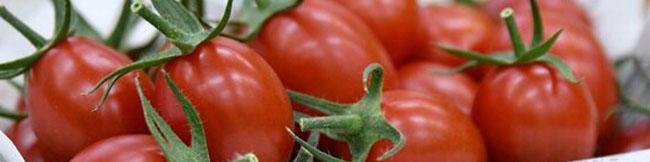 افزایش قیمت گوجه فرنگی و سیب زمینی/کمبود عرضه و صادرات دلایل اصلی