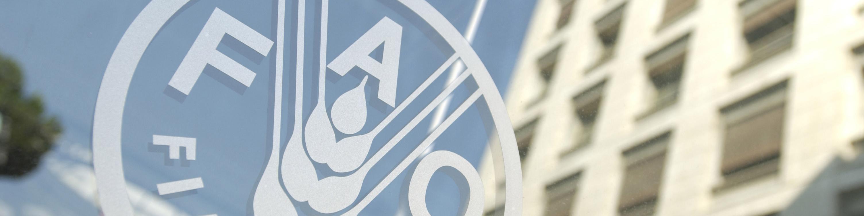 گزارش فائو از رتبه‌های ۳ تا ۱۹ ایران در تولید ۲۰ محصول مهم کشاورزی جهان