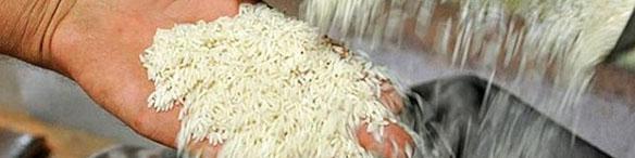 کاهش ۱۰ تا ۱۲ درصدی قیمت برنج به دلیل رکود/ احتمال افزایش مصرف در ماه‌های آینده
