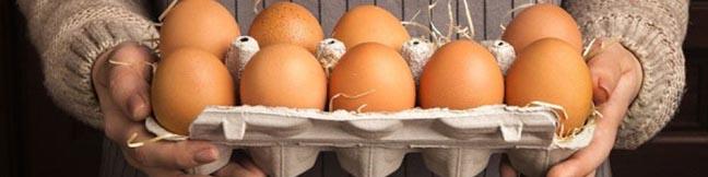 علت افزایش اخیر قیمت تخم مرغ