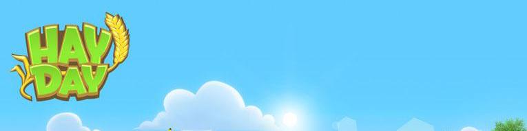 آموزش خرید فارم پس هی دی برای تازه کارها