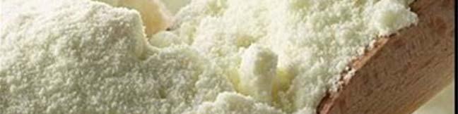 کاهش عوارض گمرکی و مالیات بر ارزش افزوده شیر خشک ابلاغ شود