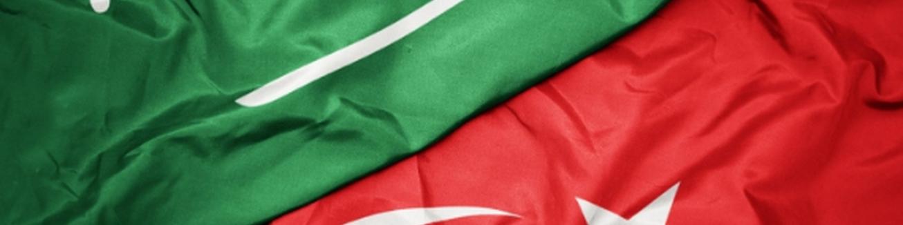 سرمایه گذاری بین عربستان و ترکیه در سال‌های آینده سه برابر خواهد شد