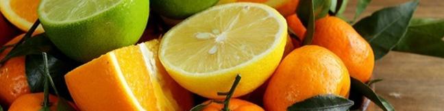 تولید مرکبات نسبت به سال قبل ۳۰ درصد افزایش یافت