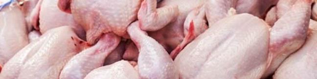 قیمت عمده فروشی مرغ به ۴۷ هزار تومان رسید