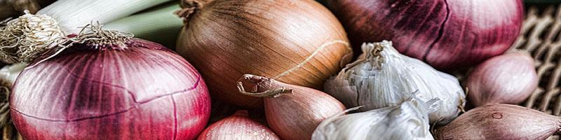 بازار پیاز تا ۲ هفته آینده به تعادل می‌رسد