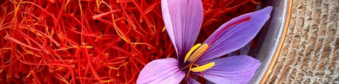 افزایش ۲۰ درصدی تولید زعفران