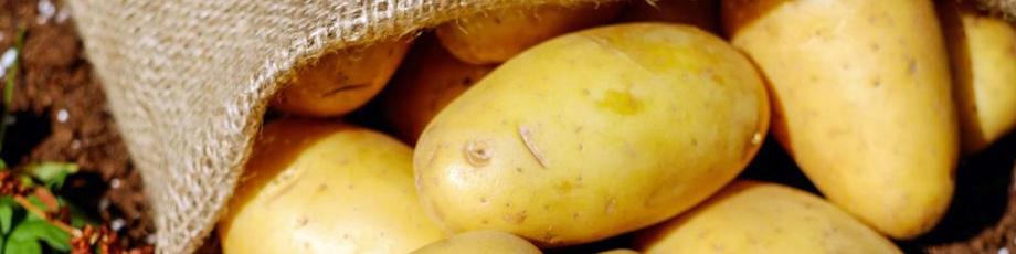 عوارض صادراتی سیب‌‌زمینی ۷۰ درصد شد