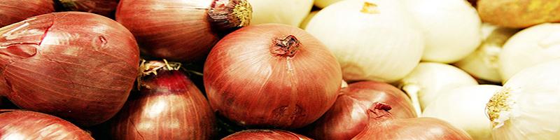 پیاز قصد کوتاه آمدن ندارد؟