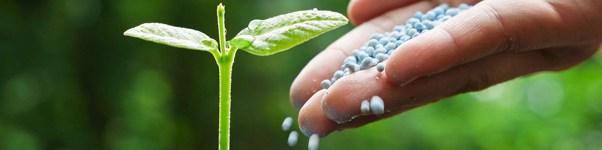 صدور ۱۵۷ فقره مجوز صادراتی کود شیمیایی/ قیمت کودهای یارانه‌ای افزایش نمی‌یابد