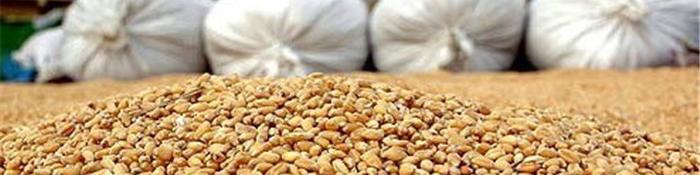 آخرین وضعیت واردات نهاده‌های دامی و غلات از بندرامام