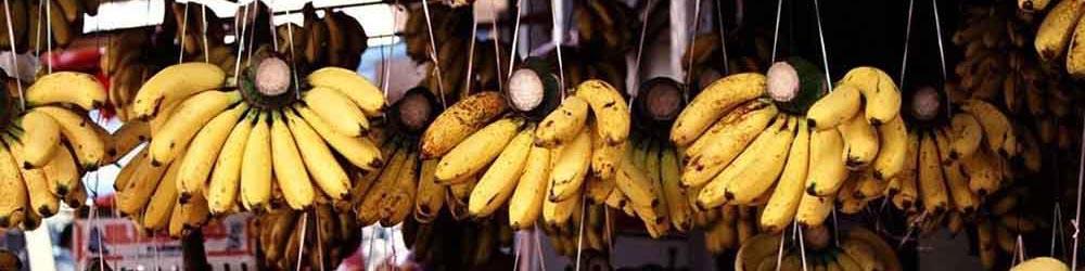 علت گرانی موز و پیاز، نوسان نرخ ارز و افزایش صادرات است