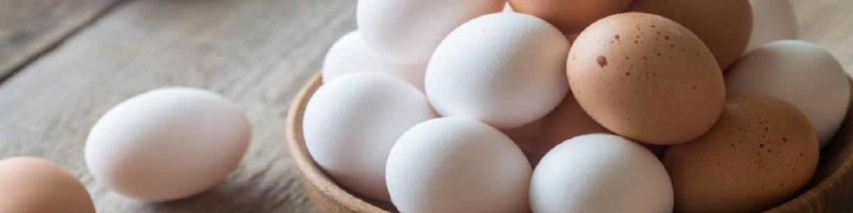 تخم‌مرغ مورد نیاز شب عید و ایام نوروز تامین است