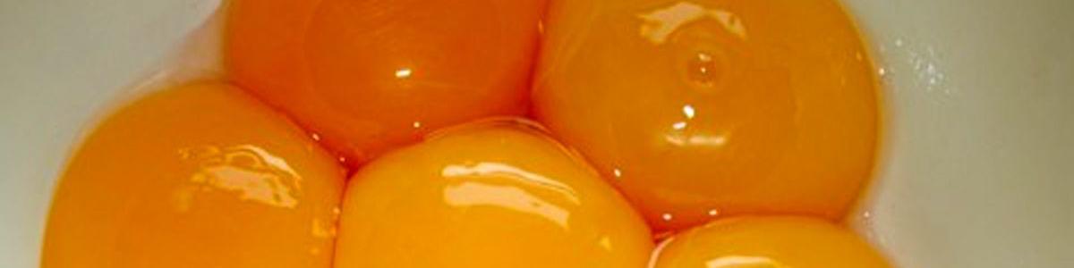 زرده‌های شیمیایی در بازار تخم‌مرغ