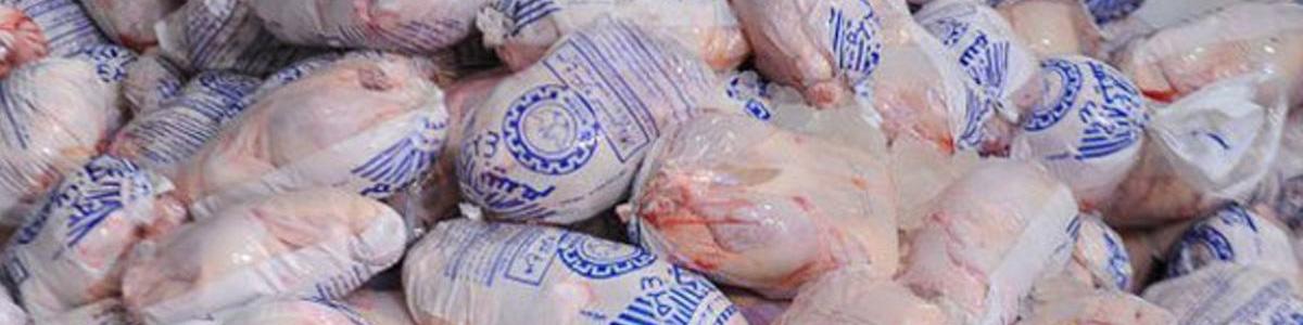 توزیع گسترده گوشت مرغ منجمد با قیمت عمده ۴۰ هزار تومان