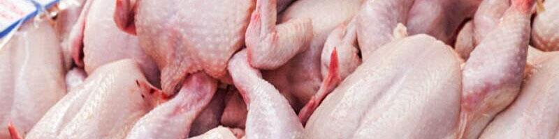 اعزام نمایندگان ویژه نظارت بر نحوه مدیریت توزیع گوشت و مرغ به سراسر کشور