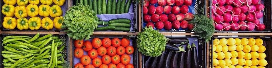 شاخص قیمت جهانی غذا برای اولین‌بار افزایش یافت