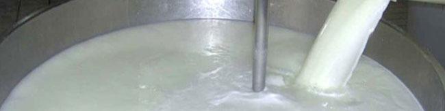 قیمت جدید شیر بزودی اعلام می‌شود