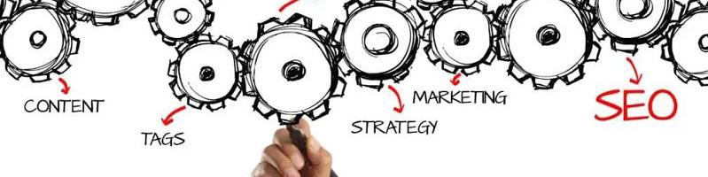 طراحی سایت یا سئو؟ کدام شغل بهتر است؟ بازار کار در ایران و جهان