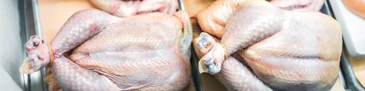 هیچ مجوزی برای واردات مرغ از بلاروس صادر نشده است