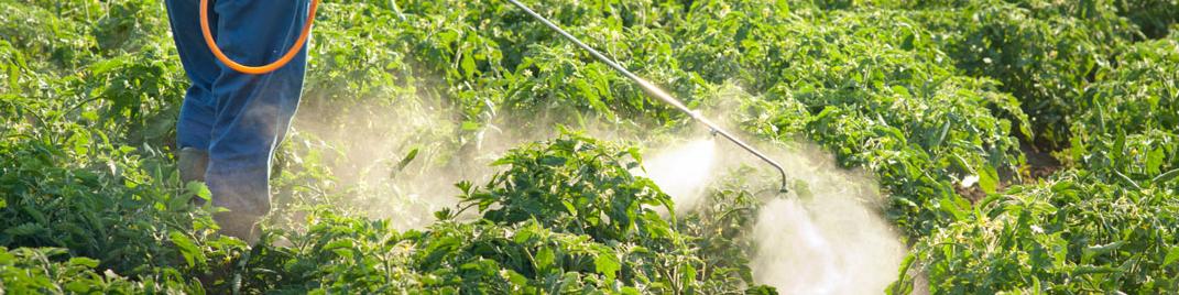 چرا تخصیص و تامین ارز مورد نیاز برای مواد اولیه تولیدکنندگان کود و سموم کشاورزی انجام نمی‌شود؟!