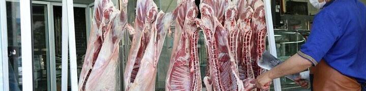بازار گوشت قرمز به حال خود رها شده است