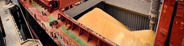 معطلی کشتی‌ حامل گندم در لنگرگاه بندرامام