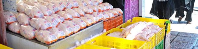 روزانه 1300 تن گوشت مرغ در پایتخت توزیع و مصرف می‌شود
