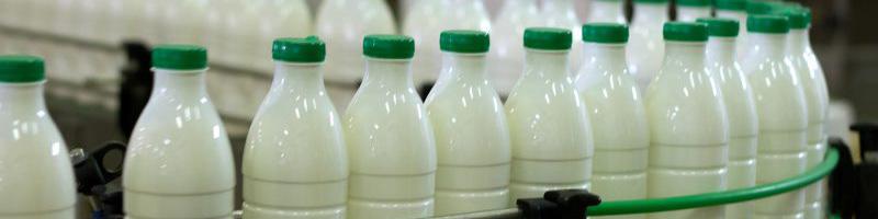 راهکار جدید فعالان صنعت لبنی