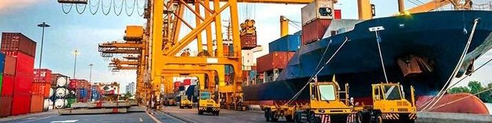 برنامه دولت برای جلوگیری از انباشت نهاده‌های دامی در بنادر چیست؟