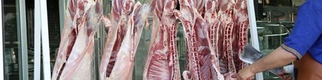 ۴۰ هزار تن به ظرفیت تولید گوشت کشور اضافه می‌شود