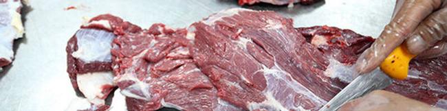 رئیس شورای تامین‌کنندگان دام: قیمت واقعی گوشت قرمز مشخص نیست