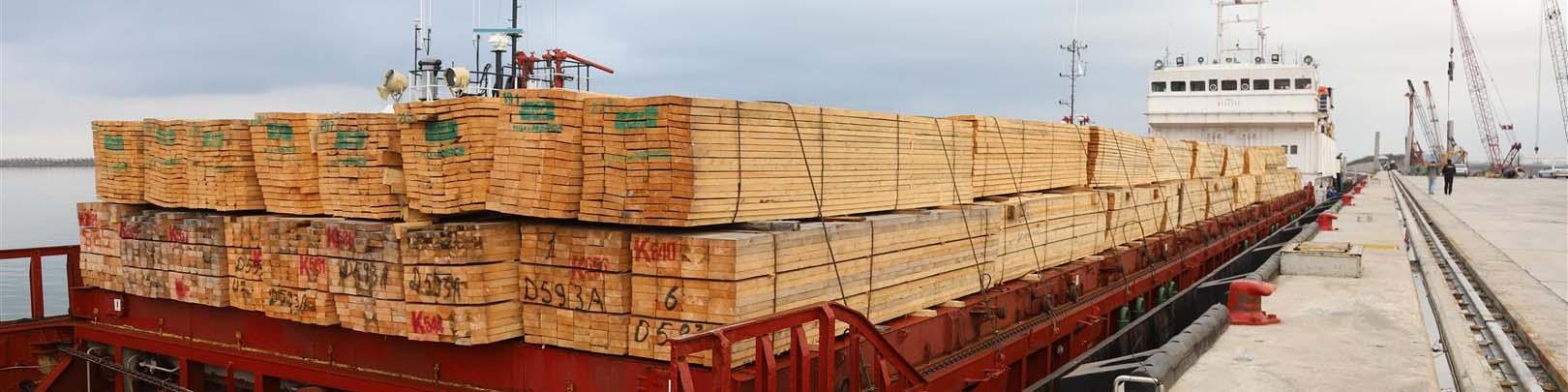 بیش از ۸ میلیون تن کالای اساسی وارد کشور شد
