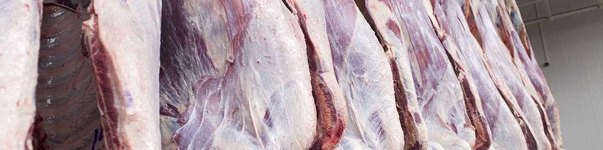 عرضه گوشت قرمز به قیمت سال گذشته