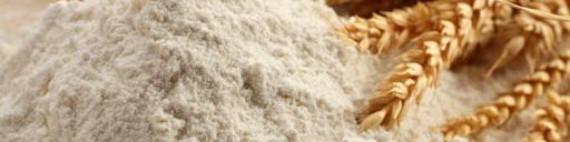 دولت و بار مالی تامین نان کشور/ تعقیب‌وگریز دولت و قیمت گندم