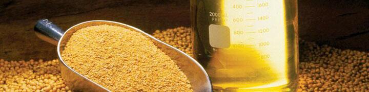 سود بازرگانی کنجاله سویا یک درصد شد