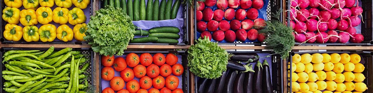 رشد ۲۱ درصدی صادرات محصولات غذایی و کشاورزی