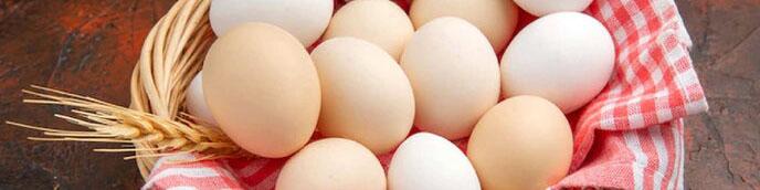 لغو ممنوعیت صادرات تخم مرغ