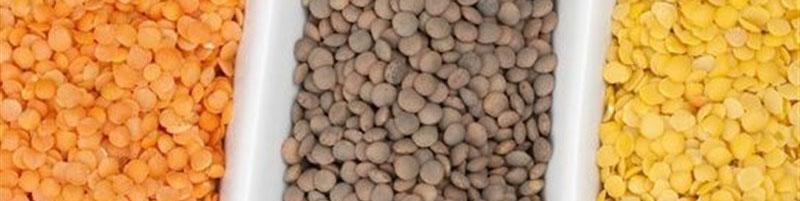 امکان خودکفایی در تولید حبوبات با ۳ اقدام/ سالانه ۸۰ هزار تن عدس از کانادا وارد می‌کنیم