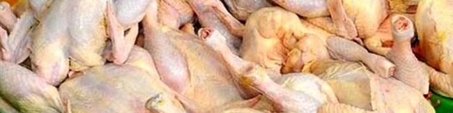 هر کیلو گوشت مرغ در بازار ۸۵.۸۰۰ تومان
