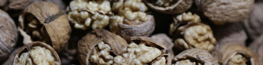 تولید سالانه ۲۹۰ هزار تن گردوی خشک در کشور