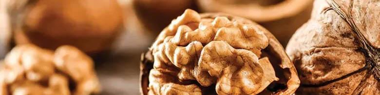 معرفی 3 نهال گردو که بالاترین باردهی و نرخ بازگشت سرمایه را دارند/بررسی دقیق