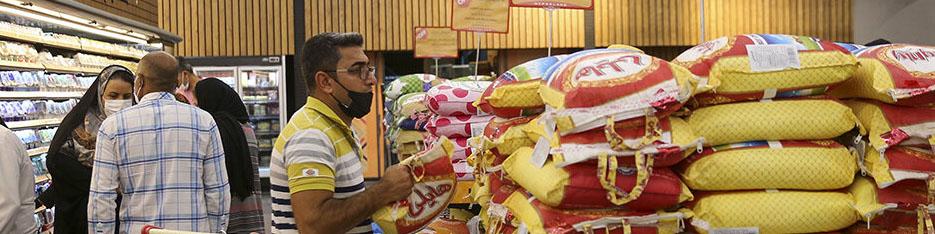 عرضه برنج تازه با قیمت‌های مناسب به بازار/ نیاز برنج کشور ۳.۶میلیون تن در سال است