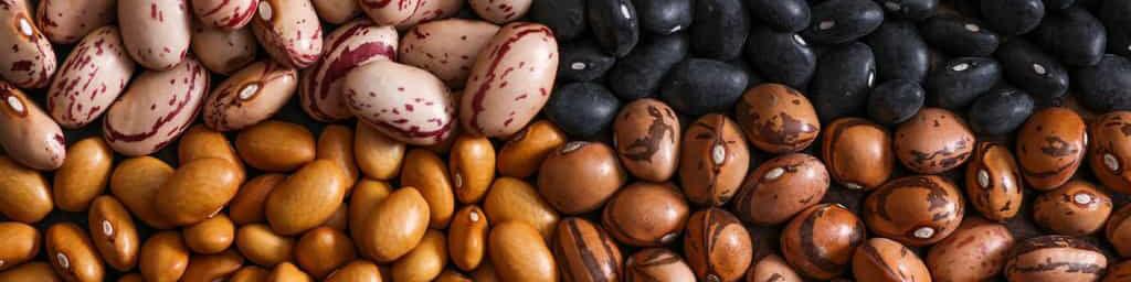 واردات حبوبات همچنان با ارز تخصیصی تالار اول