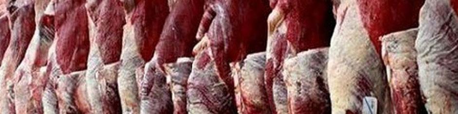 کاهش قیمت گوشت گوسفند از بهار سال آینده