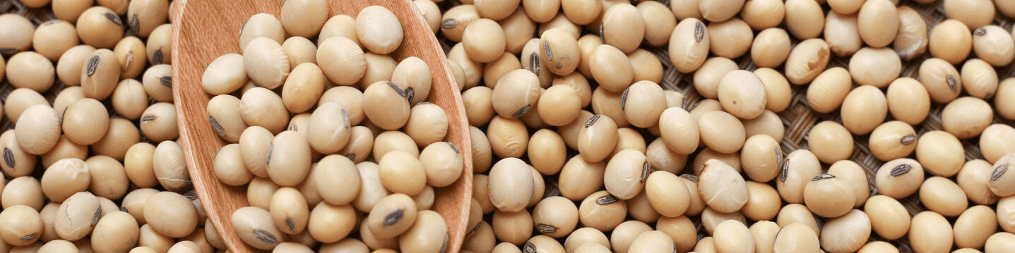 دانه سویا به جای کنجاله در لیست تهاتر قرار گیرد