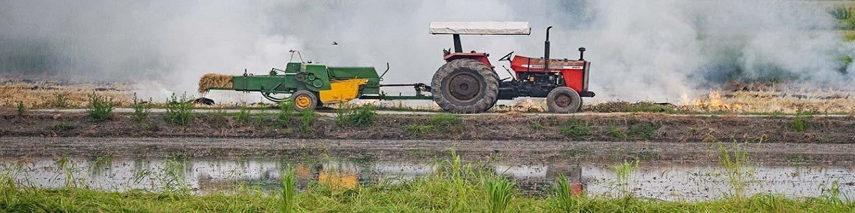 شرط خودکفایی ۵ محصول اساسی چیست؟