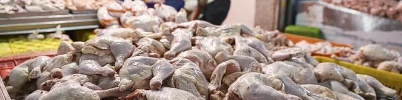 توزیع گوشت مرغ زیر قیمت بازار در میادین تره بار